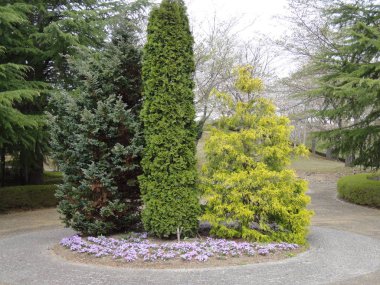 İlkbaharda düzenli ağaçlarla park edin