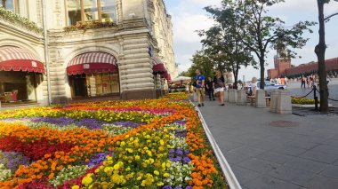Moskova, Rusya - 23 Temmuz 2017: Rengarenk çiçekler ve yoldan geçen turistler.