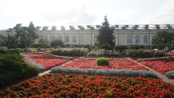 Moskwa Rosja Lipca 2017 Kolorowe Kwiaty Przejeżdżających Turystów — Zdjęcie stockowe