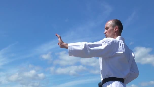 Athlète Avec Ceinture Noire Poinçons Entraînement Contre Ciel Bleu — Video