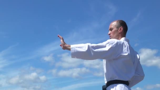 Athlète Avec Ceinture Noire Poinçons Entraînement Contre Ciel Bleu — Video