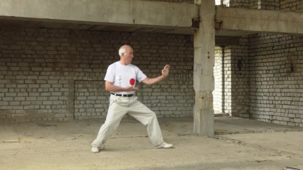 Fehér Pólóban Egy Öreg Atléta Formális Karate Gyakorlatokat Szervez — Stock videók