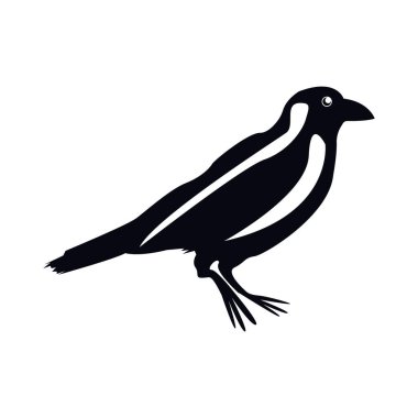Bir karganın vektör görüntüsü. Beyaz arka plan üzerinde bir karga silueti.