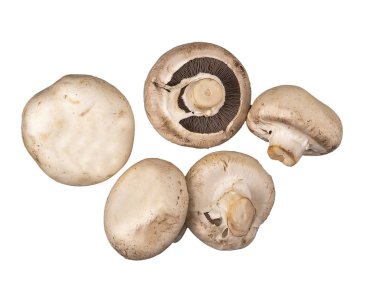 Champignon mantar. Beş mantar beyaz arka plan üzerinde izole.