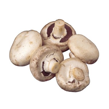 Champignon mantar. Beş mantar beyaz arka plan üzerinde izole.