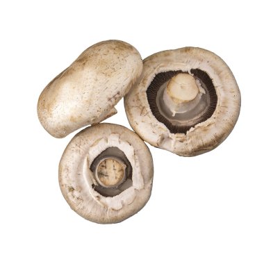 Champignon mantar. Üç mantar beyaz arka plan üzerinde izole.