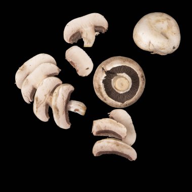 Champignon mantar. Siyah arka plan üzerine izole beş mantar.