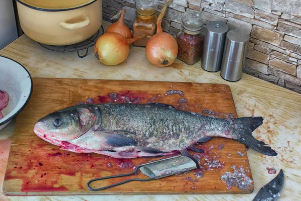 Verwijderen Van Ingewanden Van Vis Schoner Van Verse Vis Binnenlandse — Stockfoto