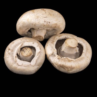 Champignon mantar. Siyah arka plan üzerine izole üç mantar.