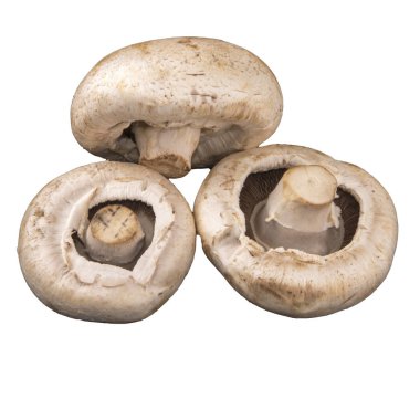 Champignon mantar. Üç mantar beyaz arka plan üzerinde izole.