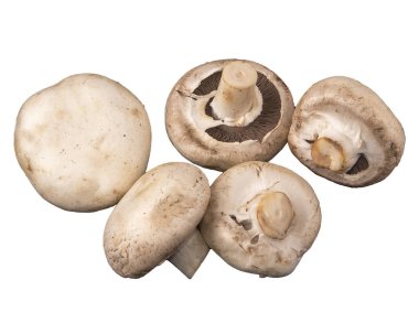 Champignon mantar. Beş mantar beyaz arka plan üzerinde izole.