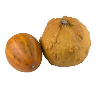 beyaz arkaplanda kabaklar