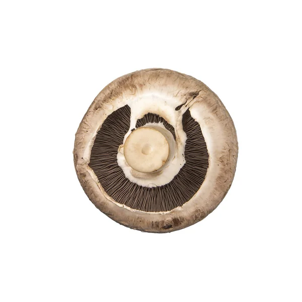 Beyaz arka plan üzerinde izole bir champignon mantar.