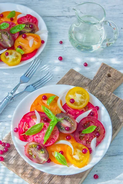 Sabrosa Ensalada Verano Tomates Frescos Coloridos Rodajas Cebolla Roja Picada — Foto de Stock