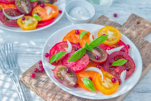 Salade Estivale Savoureuse Tomates Fraîches Colorées Coupées Tranches Oignon Rouge — Photo
