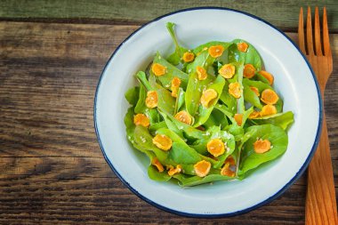 Sebze salatası. Roka, pişmiş dilimlenmiş havuç, zeytinyağında koyu ahşap arka plan üzerinde metal plaka ile sağlıklı yemek. Sağlıklı bir diyet yemek