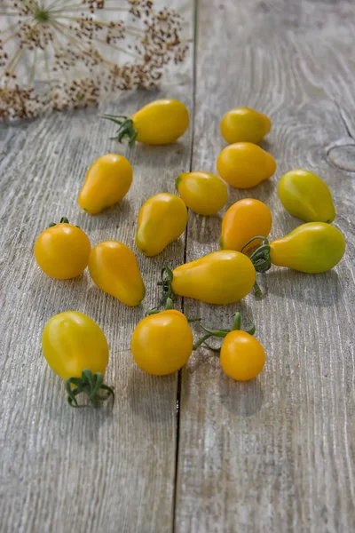 테이블에 화창한 신선한 노란색 토마토 — 스톡 사진