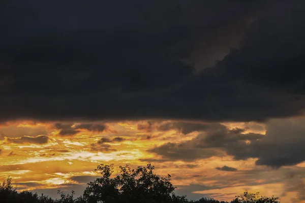 Dramatik günbatımı veya gündoğumu, koyu mavi gökyüzü. Ağaçlarının silhouettes.
