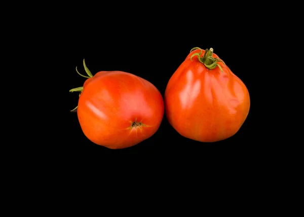 Deux Tomates Mûres Isolées Sur Fond Noir Légume Entier — Photo