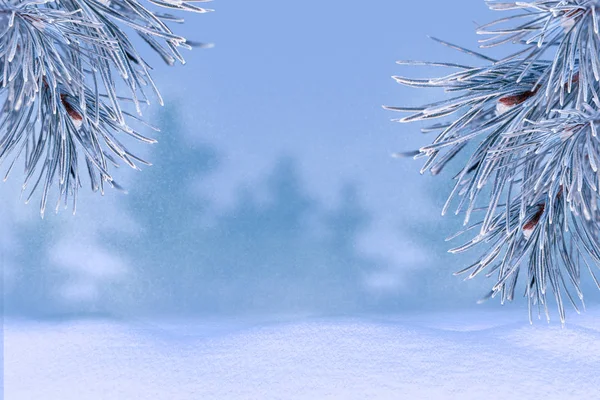 Zimní Krajina Pod Sněhem Vánoční Pozadí Jedle Větev Vánoční Koule — Stock fotografie