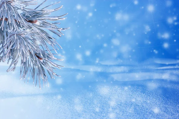 Vinter Landskap Med Snö Jul Bakgrund Med Fir Gren Och — Stockfoto