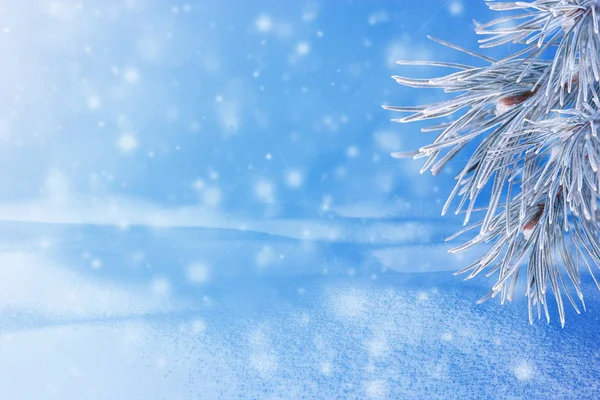 Winterlandschaft Mit Schnee Weihnachten Hintergrund Mit Tannenzweig Und Christmas Ball — Stockfoto
