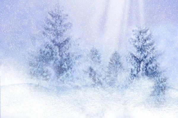 Zimní pozadí sněhu a mráz s volným prostorem pro vaše — Stock fotografie