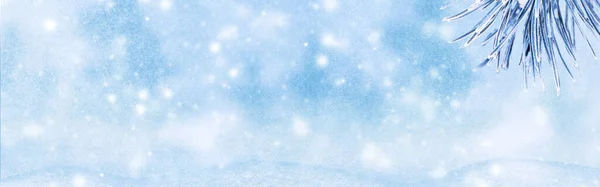 あなたの装飾のための無料のスペースで雪と霜の冬の背景 モミの木とぼやけてボケとクリスマスの背景 冬の風景 — ストック写真