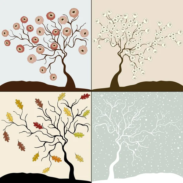 Copaci Patru Anotimpuri Iarnă Toamnă Vară Primăvară — Vector de stoc