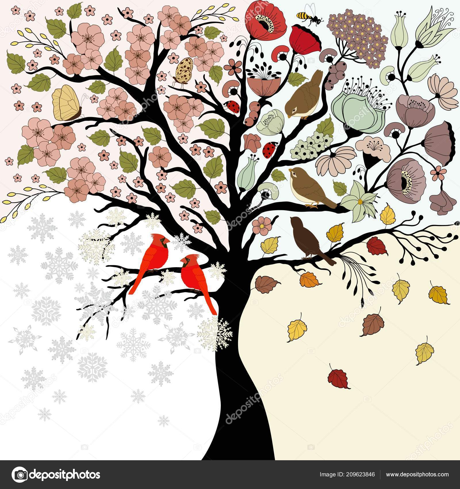 Four Seasons Tree Spring Summer Autumn Winter Birds Butterfly Stock ...