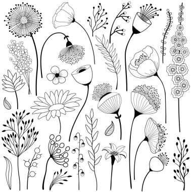 Siyah ve beyaz soyut çiçek kümesi