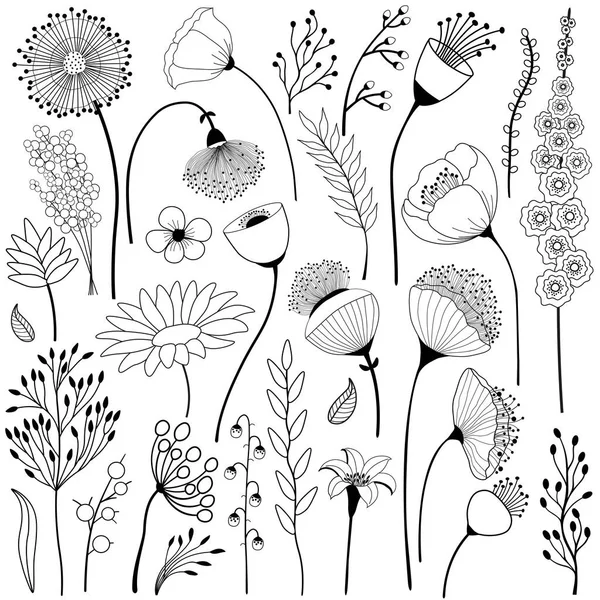 Set Abstrakter Blumen Schwarz Und Weiß — Stockvektor