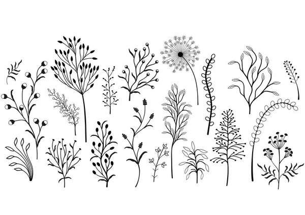 Набор диких растений, черно-белая иллюстрация . — стоковый вектор