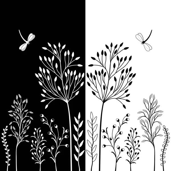 Set van wilde planten, zwart-wit afbeelding. — Stockvector