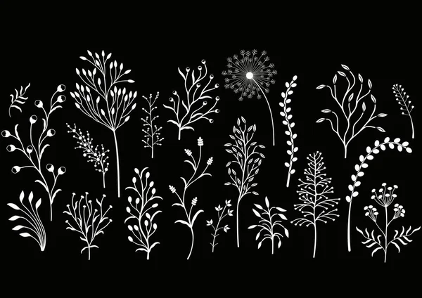 Set of wild plants, Black and white illustration. — Stock Vector