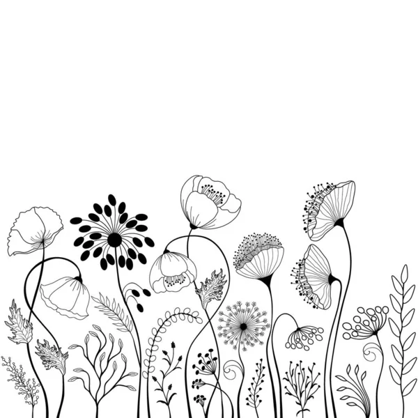 Carte Florale Illustration Noir Blanc — Image vectorielle