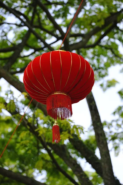 Rött Och Guld Kinesiska Nyåret Dekoration Hängande Träden — Stockfoto
