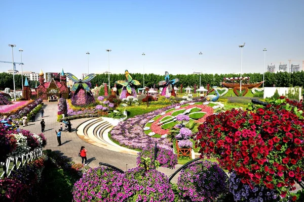 Дубай Оаэ Январь 2017 Butterflies Dubai Miracle Garden — стоковое фото