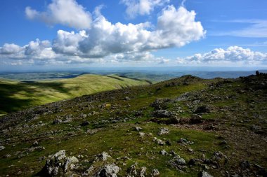 Güneş ışığı ve gölgeler beyaz taşlar üzerinde oynama