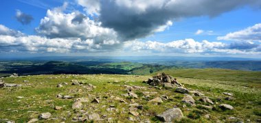Güneş ışığı beyaz arka tarafında