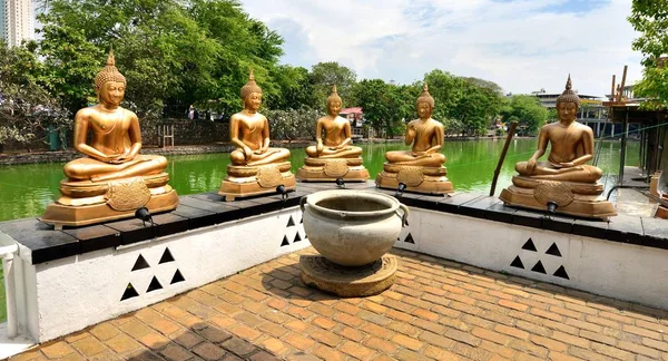 Κολόμπο Σρι Λάνκα Ιανουάριος 2017 Golden Βούδα Αγάλματα Κατά Μήκος — Φωτογραφία Αρχείου