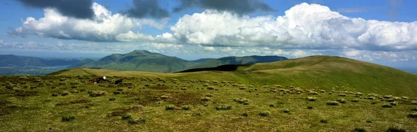 Moutons Herdwick Sur Sommet Stybarrow — Photo