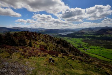 Thornthwaite orman üzerinde haddeleme bulutlar