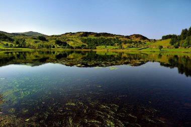 Kazablanka lilyum su ve Watendlath Tarn üzerinde ot