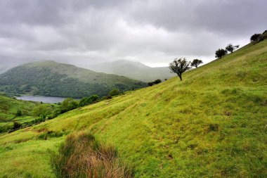 Fairfield at nalı üzerinde alçak bulutlar
