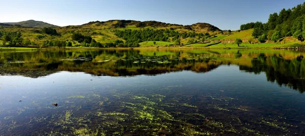 Kazablanka Lilyum Watendlath Tarn Üzerinde — Stok fotoğraf