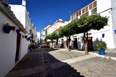 Saksı ve ağaçlar Estepona sokakta Haziran 2017 astar