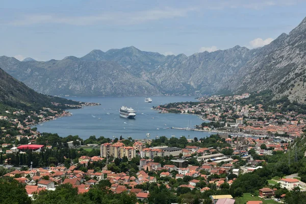 Crown Princess Norveç Star Kotor Montengero Temmuz Deniz Prenses Norveççe — Stok fotoğraf