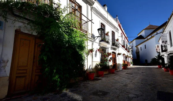 Vasos Flores Cestas Suspensão Que Revestem Rua Pisada Estepona Junho — Fotografia de Stock