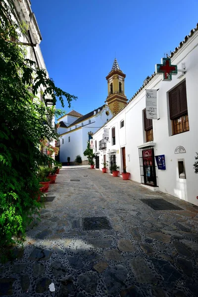 Vasos Flores Que Revestem Rua Pisada Estepona Junho 2017 — Fotografia de Stock